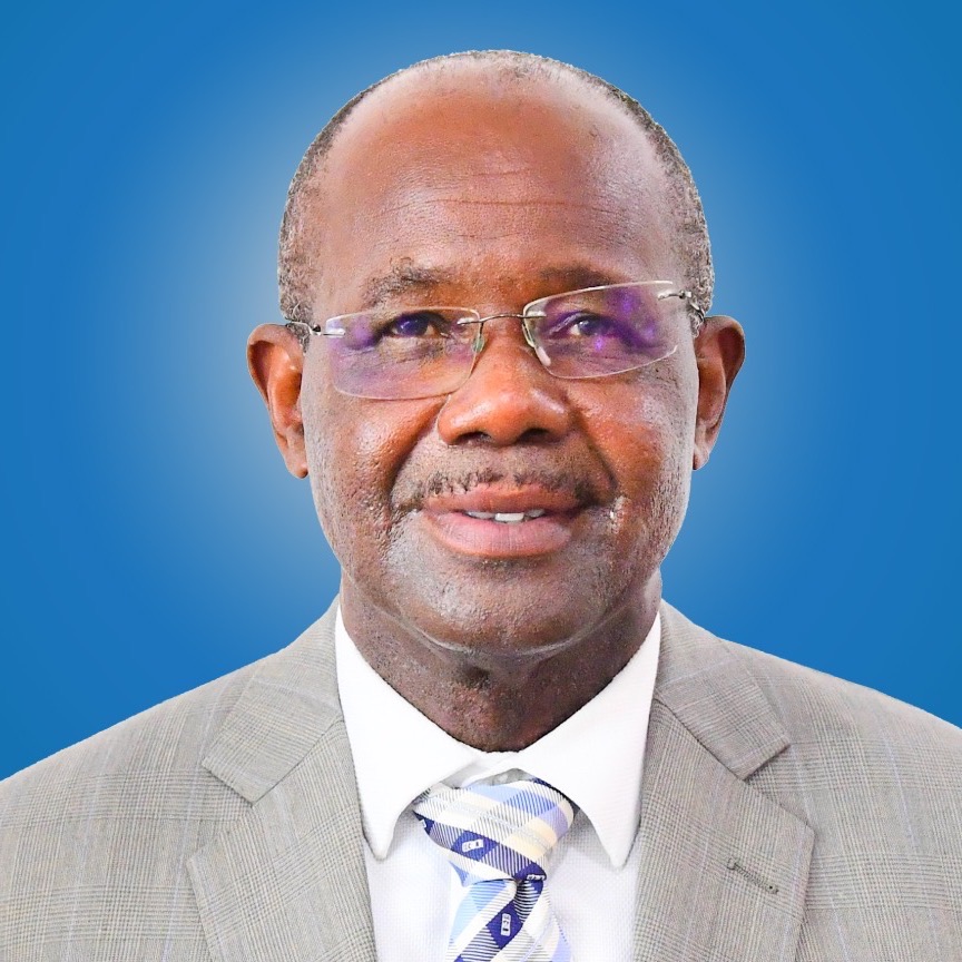 Mhe. Prof. Makame Mnyaa Mbarawa